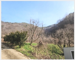  2024Ÿ30551   곻 ݸ 1025      (1)