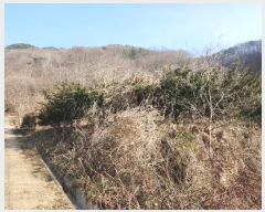  2024Ÿ30551   곻 ݸ 1025      (1)