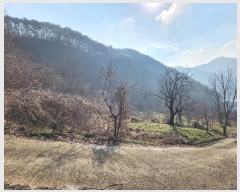  2024Ÿ30551   곻 ݸ 1025      (1)