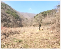  2024Ÿ30551   곻 ݸ 1025      (1)