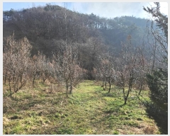  2024Ÿ30551   곻 ݸ 1025      (1)