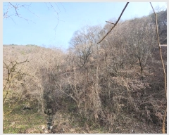  2024Ÿ30551   곻 ݸ 1025      (1)