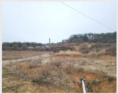  2024Ÿ79  ξȱ   149-21      (Ӿ)