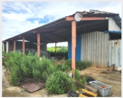  2024Ÿ��1614 ���� �ξȱ� �󼭸� �嵿�� 589-29      ���(�󰡽ü�)���