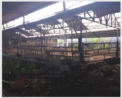  2024Ÿ��2013 ���� ������ ���θ� �Լ��� 243-3      ����(������)���