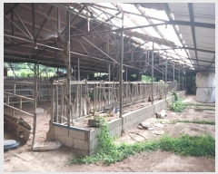  2024Ÿ��2013 ���� ������ ���θ� �Լ��� 243-3      ����(������)���