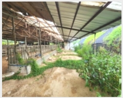  2024Ÿ��2013 ���� ������ ���θ� �Լ��� 243-3      ����(������)���