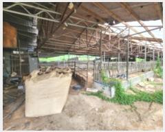  2024Ÿ��2013 ���� ������ ���θ� �Լ��� 243-3      ����(������)���