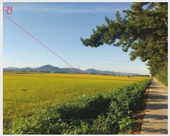  2024Ÿ33215  ξȱ ȭ ȭ 2181-3      ()