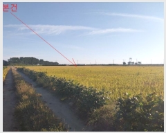  2024Ÿ33215  ξȱ ȭ ȭ 2181-3      ()