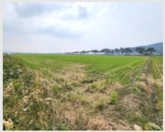  2024Ÿ33215  ξȱ ȭ ȭ 2181-3      ()