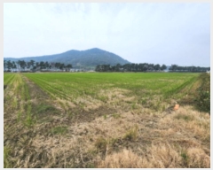  2024Ÿ33215  ξȱ ȭ ȭ 2181-3      ()