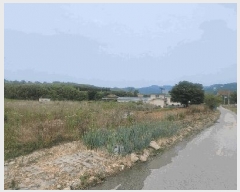  2024Ÿ1249  ξȱ   647-1      ()