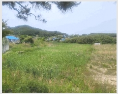  2024Ÿ1249  ξȱ   647-1      ()