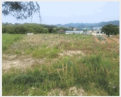  2024Ÿ1249  ξȱ   647-1      ()