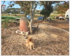  2024Ÿ1249  ξȱ   647-1      ()