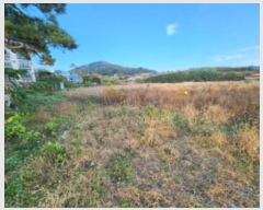  2024Ÿ1249  ξȱ   647-1      ()