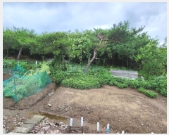  2024Ÿ1560  ξȱ  û 541      ()