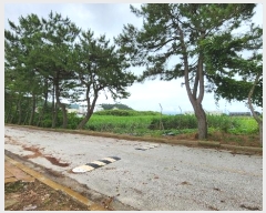  2024Ÿ1560  ξȱ  û 541      ()