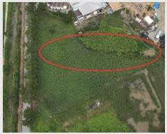  2024Ÿ1560  ξȱ  û 541      ()