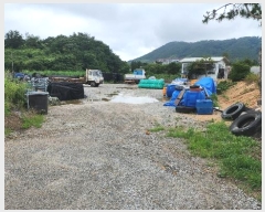  2024Ÿ1560  ξȱ  û 541      ()