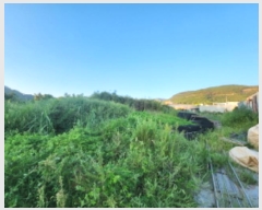  2024Ÿ1560  ξȱ  û 541      ()