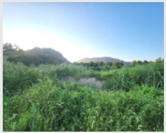  2024Ÿ1560  ξȱ  û 541      ()