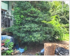  2024Ÿ1836   ˵  1219-1      ð