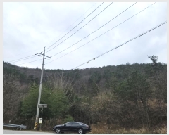  2024Ÿ��2518  �ٸ����ð��