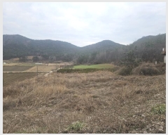  2024Ÿ��2518  �ٸ����ð��