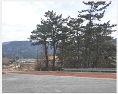  2024Ÿ��2518  �ٸ����ð��