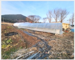  2024Ÿ��2693 ���� �ξȱ� ������ ������ 1051-3      ����(��1)���