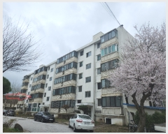  2024Ÿ��30803  ����Ʈ���