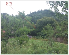  2024Ÿ32304   곻 ׸ 251      ()