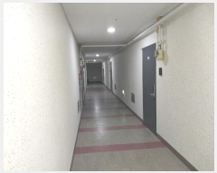  2024Ÿ��33383 ���� �ξȱ� �ξ��� ��ǳ�� 68, 2�� 204ȣ (�ξ�ĳ���¸���)   ���ǽ��ڰ��