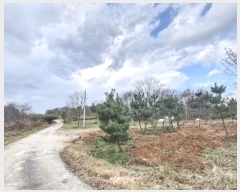  2024Ÿ33901    긮 215-2      (1)