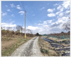  2024Ÿ33901    긮 215-2      (1)