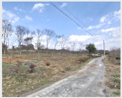  2024Ÿ33901    긮 215-2      (1)