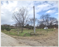  2024Ÿ33901    긮 215-2      (1)