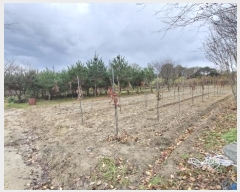  2024Ÿ33901    긮 215-2      (1)