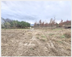  2024Ÿ33901    긮 215-2      (1)