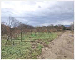  2024Ÿ33901    긮 215-2      (1)