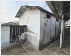  2024Ÿ34324    籫 413      ð