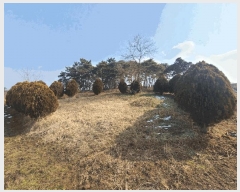  2024Ÿ34324    籫 413      ð