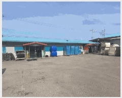  2024Ÿ��34331  ������