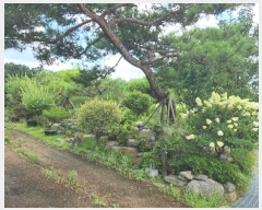  2024Ÿ��638 ���� ����� �꼭�� ���ϸ� 210      ���ð��