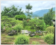  2024Ÿ��638 ���� ����� �꼭�� ���ϸ� 210      ���ð��