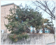  2024Ÿ��645 ���� ������ ��ϵ� 301-12       ��,�繫�ǰ��