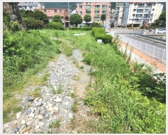  2024Ÿ980   ۵ ۻ 481      ()