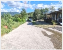  2024Ÿ980   ۵ ۻ 481      ()